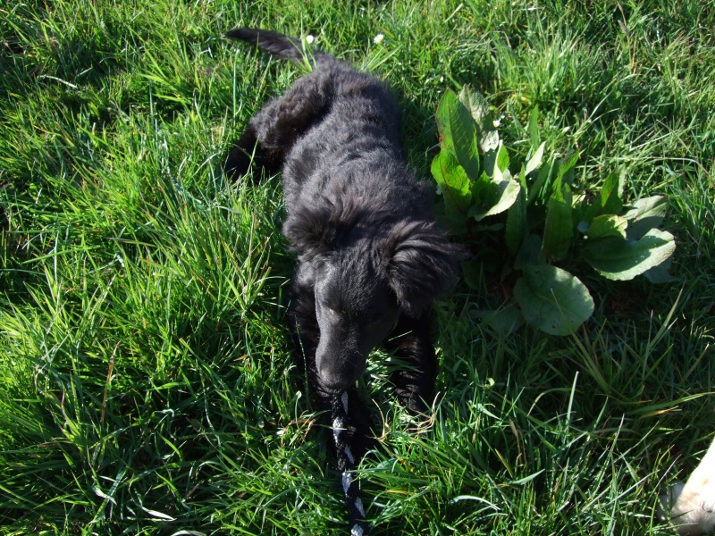 Ostern 2007 Orleshausen 089 